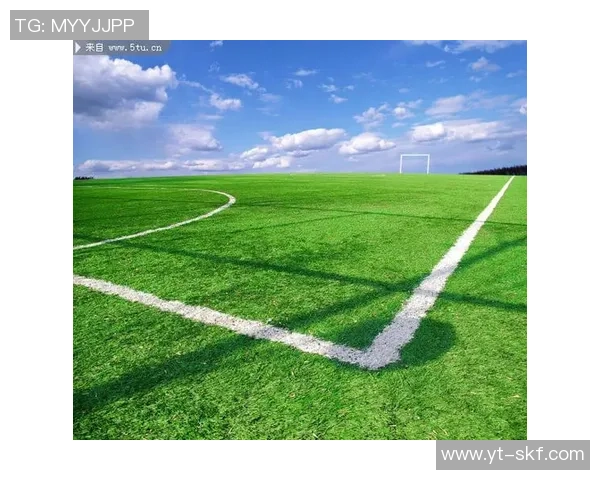 《从草地到绿茵场:一位足球巨星的成长与奋斗之路》 《从草地到绿茵场:一位足球巨星的成长与奋斗之路》